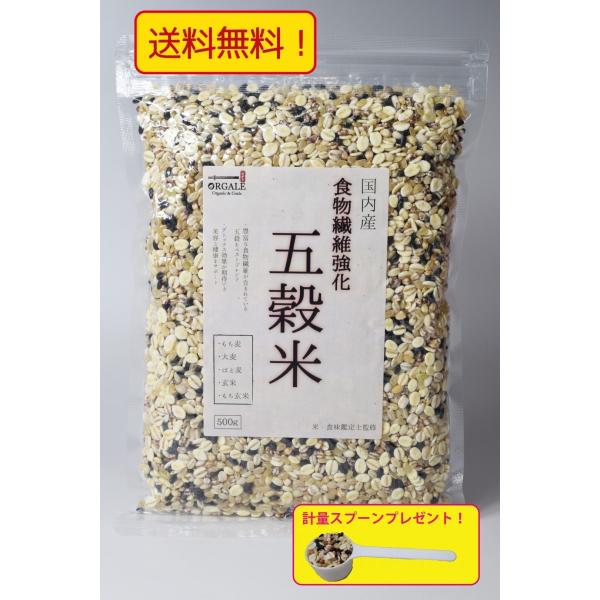 雑穀米 五穀米 500g 真空パック 送料無料  計量スプーンプレゼント