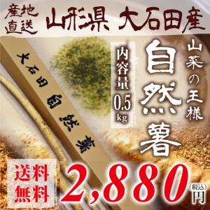 自然薯 （やまのいも） 500g 送料無料 雪国育ち 山形県 大石田 甘みとコク 入手困難 貴重品※2020年11月10日〜ご注文順に出荷開始