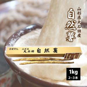 自然薯 1kg 山形県 大石田町  甘みとコク 入手困難