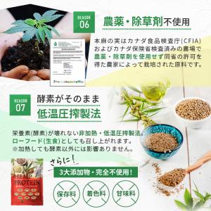 【お買い得】 ヘンププロテイン 450g×2袋...の詳細画像4