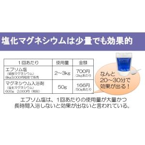 ニューサイエンス マグネシウム入浴剤 600g...の詳細画像2