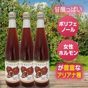 ざくろエキス100%500ml（5倍濃縮)×2本 野田ハニー ざくろ ジュース