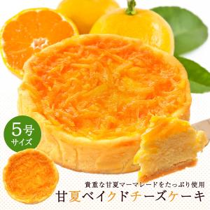 チーズケーキ 産直 送料無料  甘夏 マーマーレード ベイクドチーズケーキ 5号サイズ 数量限定 スイーツ お取り寄せ お試し ギフト プレゼント