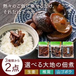 ぽっきり 佃煮 つくだ煮 選べる2品 生姜 椎茸 山ゴボウ