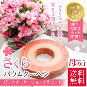 母の日 2017 遅れてごめんね ギフト プレゼント SAKURAバームクーヘン（桜ジャム付き）とピンクカーネーション4号セット