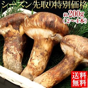 まつたけ 送料無料 松茸 マツタケ 中国産松茸 約200g 市場直送(gn)