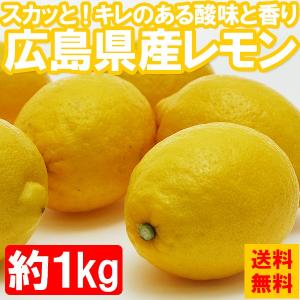 レモン 送料無料 国産 広島県産レモン 約1kg れもん ノーワックス(gn)