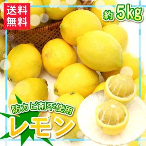 送料無料 レモン約5kgセット防カビ剤不使用 ジュース野菜ジュース