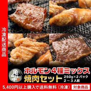 ホルモン 焼肉 亀山社中 ホルモンミックス250g×2 （ハラミ アカセン ハツ 小腸） 焼肉 BBQ（5400円以上まとめ買いで送料無料対象商品）(lf)