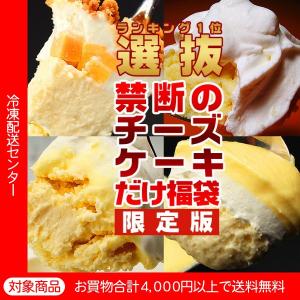 送料無料 スイーツセット 禁断のチーズケーキだけスイーツ福袋 チーズケーキ お取り寄せ（5400円以上まとめ買いで送料無料対象商品）(lf)