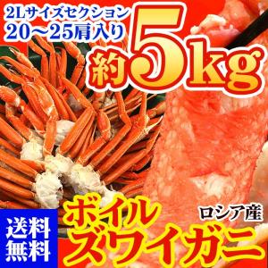 カニ かに 蟹 送料無料 ロシア産ボイルズワイガニセクション 約5kg ずわい