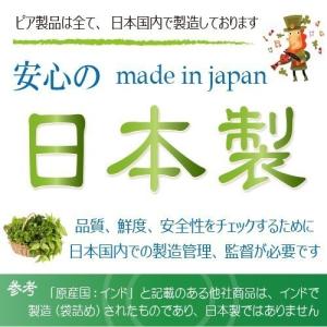【日本郵便 発送 ⇒ 日祝発送×】インディゴ ...の詳細画像2