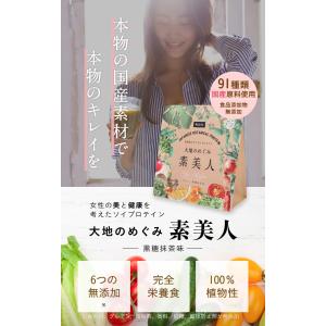 ソイプロテイン 黒糖抹茶味 250g 国産 無...の詳細画像1