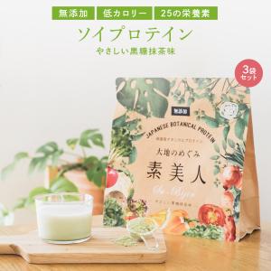 Orga Life ソイプロテイン 黒糖抹茶味 250g 国産 無添加 プロテイン