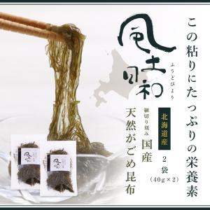 がごめ昆布 80g（40gx2袋） 天然 細切り 北海道道南黒口浜産 ガゴメ昆布 フコイダン 刻み 昆布 こんぶ コンブ きざみ 昆布 納豆 昆布｜organickitchen