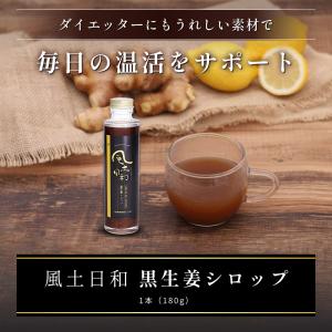 ジンジャーシロップ 国産 無添加 ショウガオール57倍の熟成発酵黒生姜使用 温活 生姜シロップ 白砂糖不使用 保存料 香料未使用 宮崎県産 送料無料