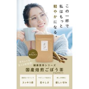 ごぼう茶 国産 ティーパック 水出し 2.5g...の詳細画像1