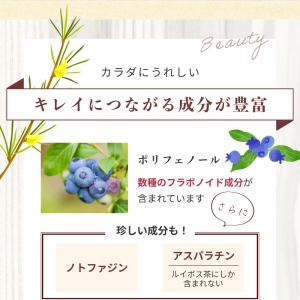ルイボスティー オーガニック 水出し 高級茶葉...の詳細画像5