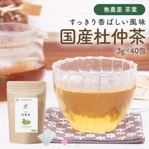国産 杜仲茶 ティーバッグ 3g×40包 オーガニック 健康茶 ノンカフェイン 日本茶 ケルセチン ...
