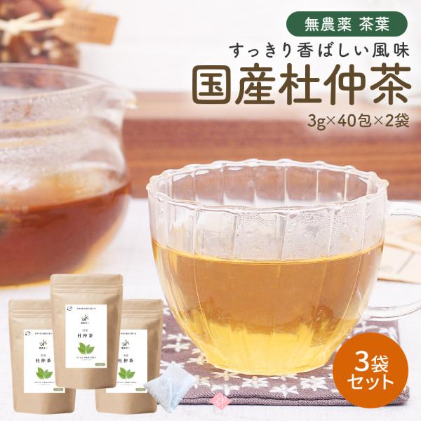 国産 杜仲茶 ティーバッグ 3g×120包 オーガニック 健康茶 ノンカフェイン 日本茶 ケルセチン...