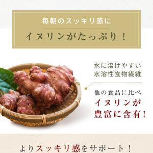 菊芋パウダー 国産 無農薬 紫菊芋 風土日和 ...の詳細画像3