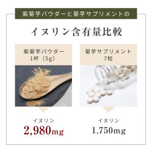 菊芋パウダー 国産 無農薬 紫菊芋 風土日和 ...の詳細画像5