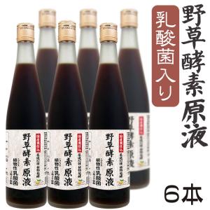 大高酵素 【2本セット】おなか生酵素 720ml×2本（植物発酵エキス飲料