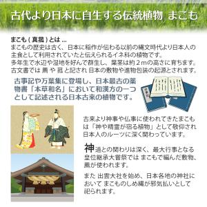 Angelbean まこも若葉粉抹 国産 無農...の詳細画像4