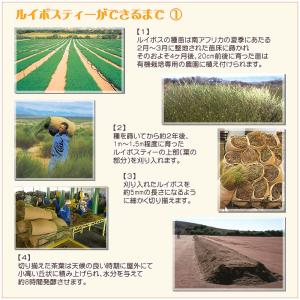 ルイボスティー 特級エクストラファイン 有機J...の詳細画像5