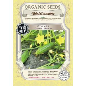 toさん専用　ちばちゃんの安心♡元気なタネと、果樹苗と、野菜たち めーちゃん専用 ちばちゃんの安心♡元気な苗たち - メルカリ