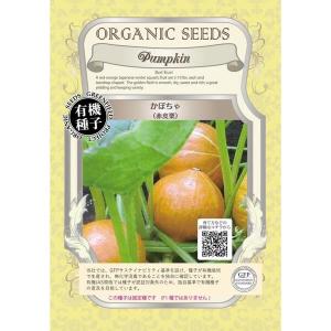 日本かぼちゃの種（種、種子）の商品一覧 | 花、ガーデニング 通販 