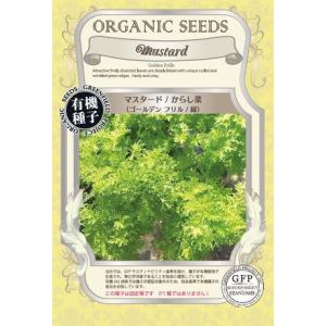 マスタード 種 からし菜 ゴールデンフリル 緑 オーガニック 有機種子 固定種｜organicstory