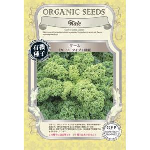 ケール 種 カーリータイプ 緑葉 オーガニック 有機種子 固定種 大袋20ml