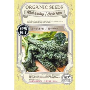 SK9-099 ブロッコリー種子 ペレット5000粒 【野菜種子】【サカタのタネ