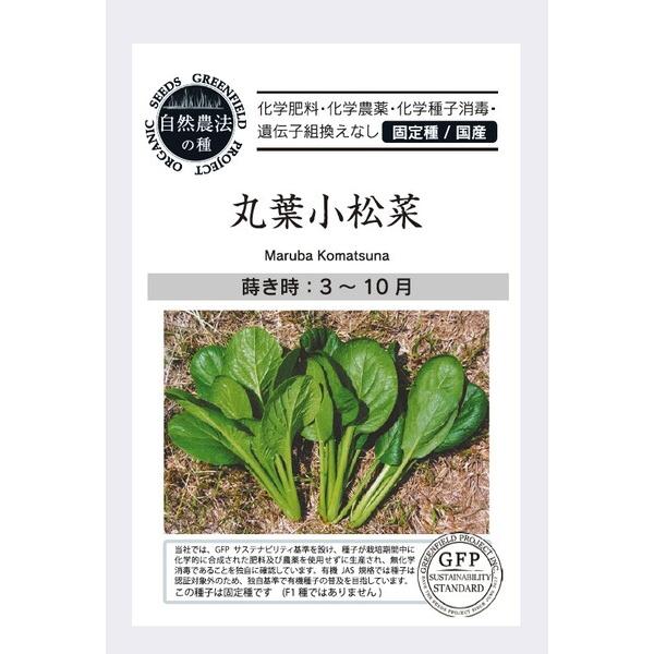 丸葉小松菜 種 こまつな オーガニック 自然農法 自然栽培 固定種