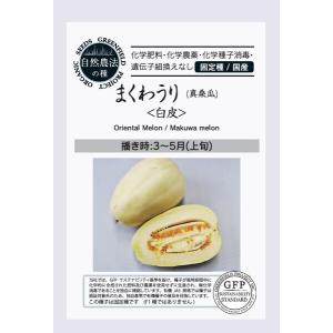 固定種】サクセッションキャベツの種2ml(約400粒） 畑懐〔はふう〕の種