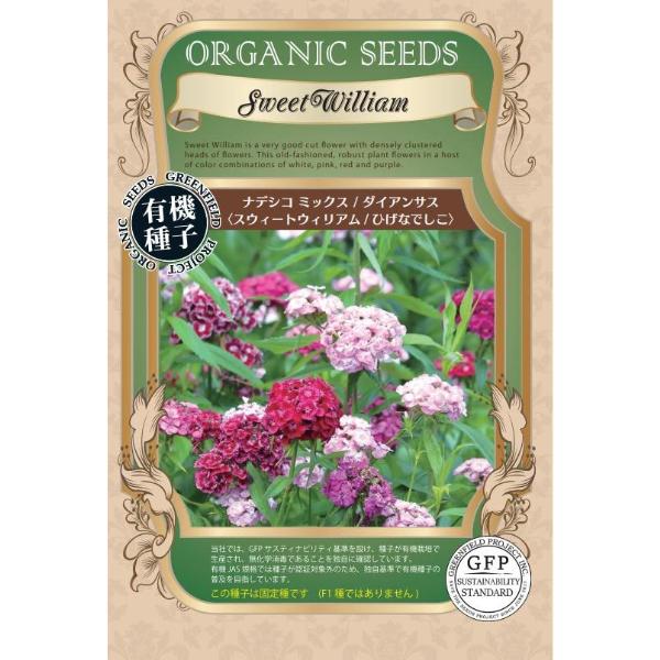 ナデシコ ミックス  ダイアンサス 種 スウィートウィリアム  ひげなでしこ オーガニック 有機種子...