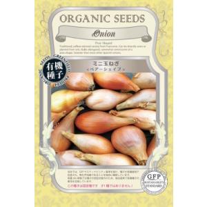 たまねぎ ミニ玉ねぎ タマネギ 種 ペアーシェイ...の商品画像