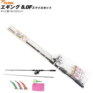 エギングセット DAIWA（釣り） エギング入門セット ロッド・ダイワリールPE