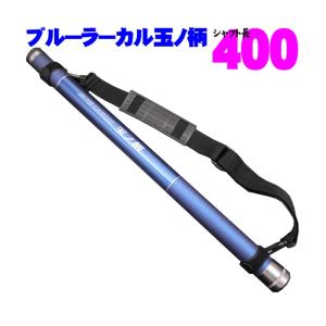 小継タモ四つ折り網M 2点セット BLUE L...の詳細画像1