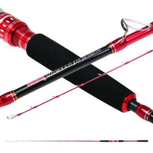 DAIWA（ダイワ） 極鋭コンセプトゲーム AGS P HH-220 大型便A 爆買