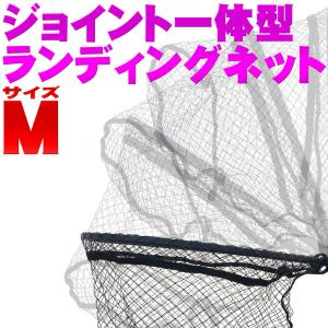 プロトラストPROTRUST GRAN FREEDグランフリード 磯玉の柄 550 068353