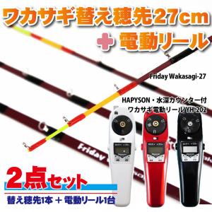 Hapyson わかさぎセット 極技ワカサギ替え穂先 25cm HAPYSON 電動