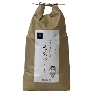 2kg 無洗米 送料無料 福岡県産 元気つくし めし丸印 令和6年産 : 無