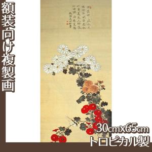 複製画30cm×65cm(額無し) 酒井抱一(No.41~57) トロピカル製｜oriehankachinet