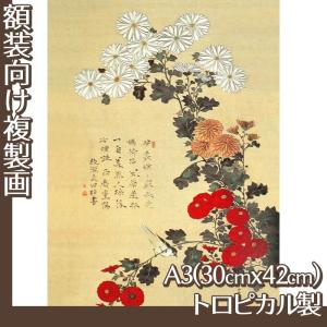 複製画A3(額無し) 酒井抱一(No.41~57) トロピカル製｜oriehankachinet