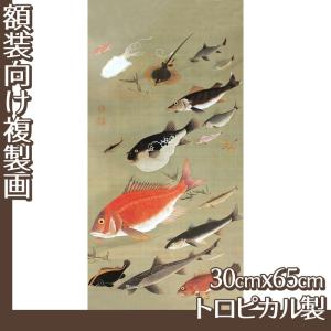 複製画30cm×65cm(額無し) 伊藤若冲(No.41~60) トロピカル製｜oriehankachinet