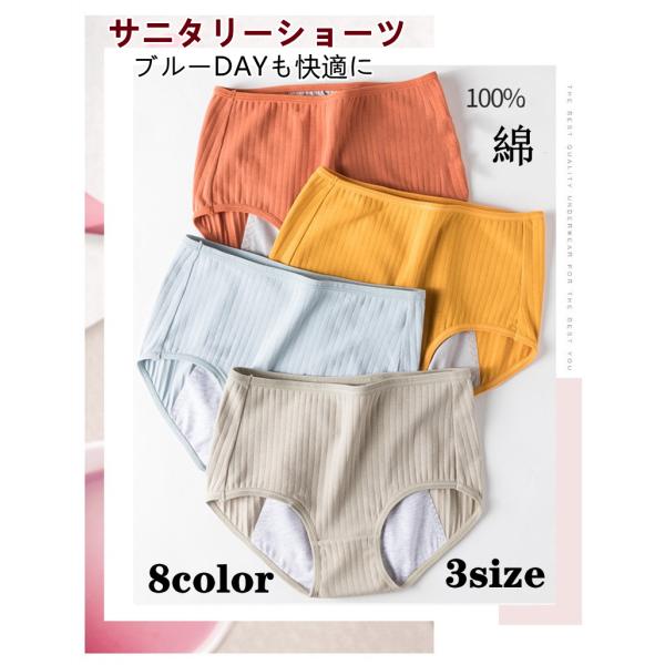 サニタリーショーツ レディース インナー 生理用安心ショーツ パンツ 綿 冷え対策 大きいサイズ2Ｌ...