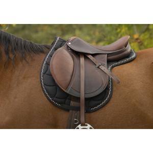 馬用 ゼッケンBA5 ＆ 前後肢プロテクターLP8 セット（紫 パープル