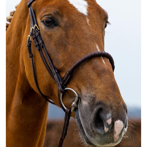 Trust（トラスト）ロープ鼻革/頭絡（手綱付）